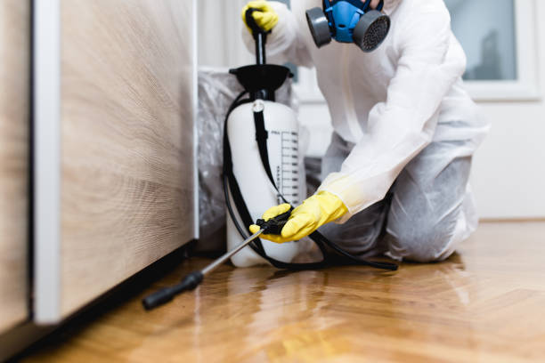 Professional Pest Control in Rose Hill, KS