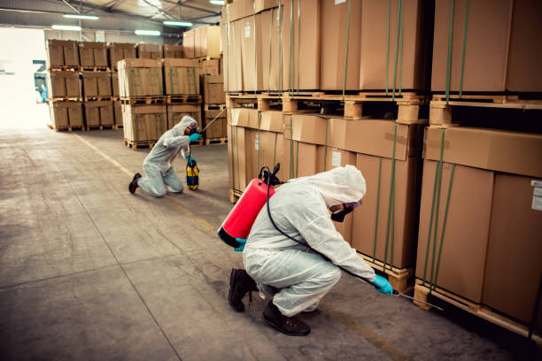 Best Pest Prevention Services  in Rose Hill, KS