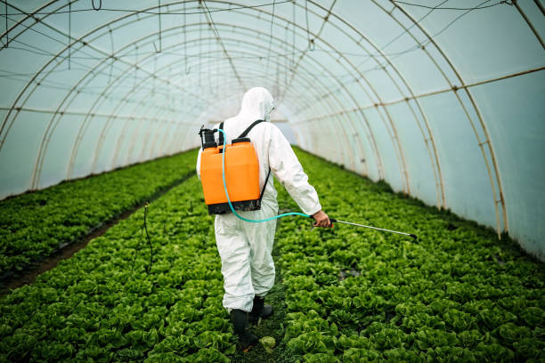 Best Mosquito Control Services  in Rose Hill, KS
