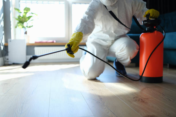 Best Flea Control Services  in Rose Hill, KS