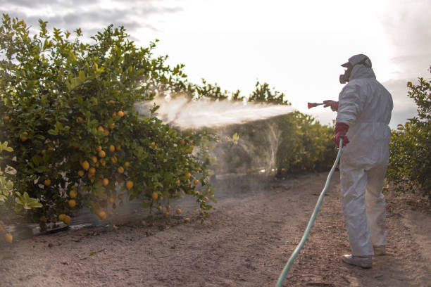 Best Local Pest Control Services  in Rose Hill, KS