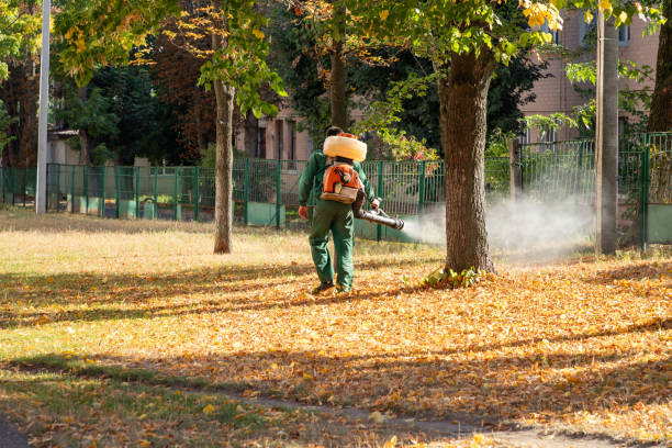 Best Wasp Removal Services  in Rose Hill, KS