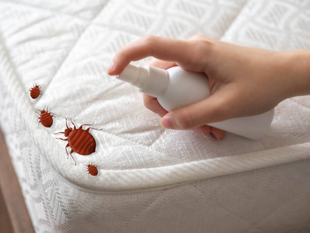 Best Pest Control Near Me  in Rose Hill, KS